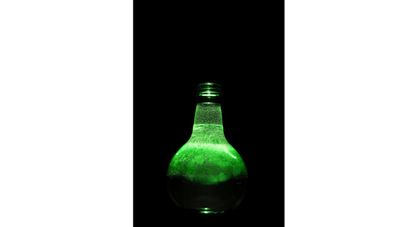 © Wex Photo Video 1.-Potion-bottle.jpg