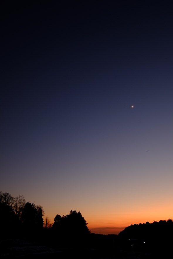 ff_x_pro1_002