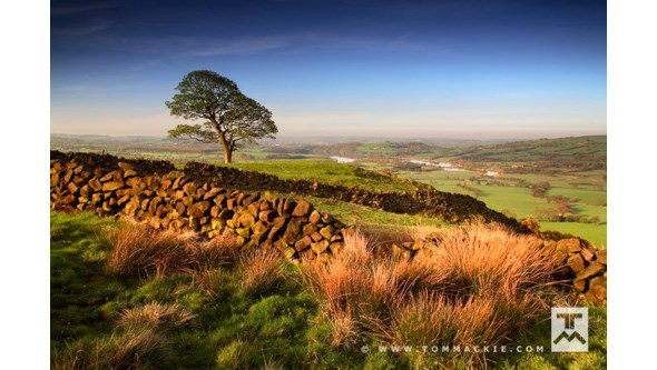 Tom Mackie - 10 Tips for Landscape Images