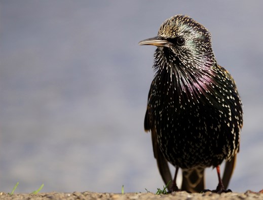 7 simple ways to get sharper images