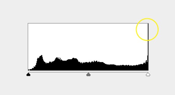 Histogram