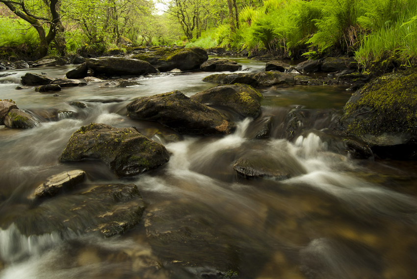 © Wex Photo Video Getting-into-rivers-can-provide-great-photographic-opportunities-a-good-pair-or-rubber-boots-help-keep-the-water-out.jpg