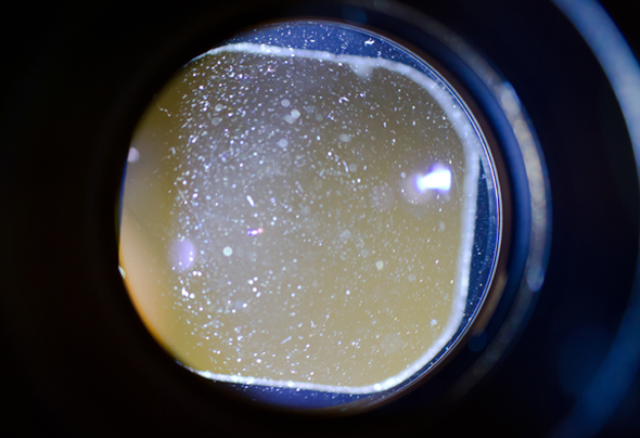 © Wex Photo Video Mould-Heavy-dust-image-1-of-1.jpg