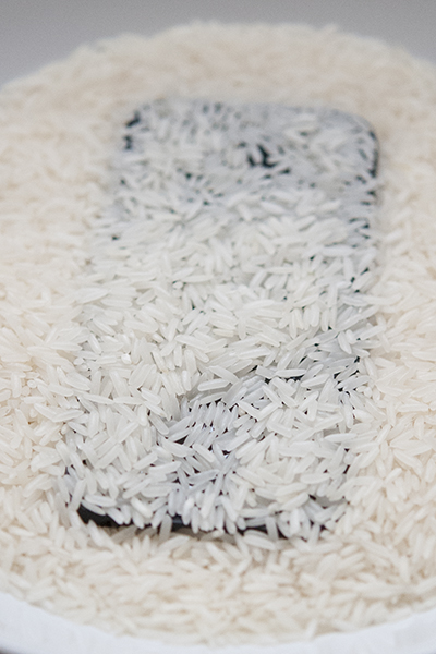 © Wex Photo Video Rice.jpg