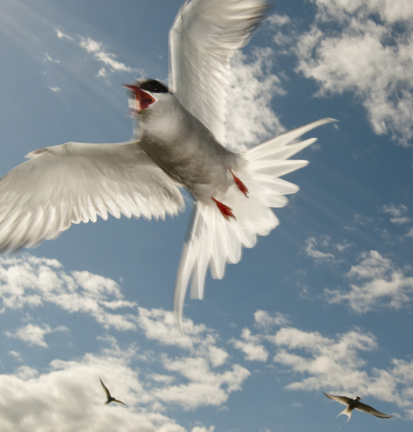 © Wex Photo Video Tom-Mason-How-to-photograph-movement.jpg