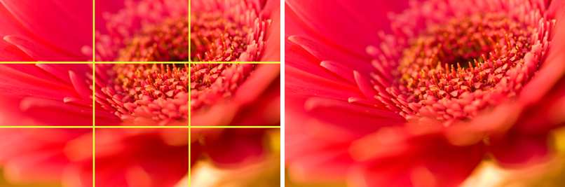 © Wex Photo Video rule-of-thirds.jpg