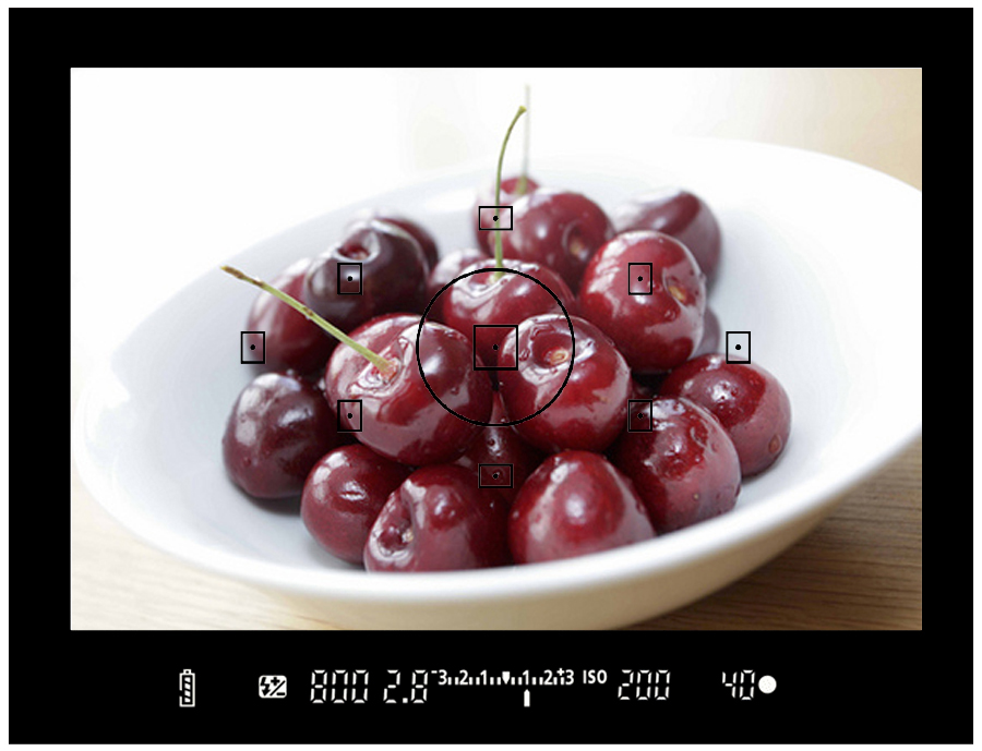 © Wex Photo Video Viewfinder1.jpg