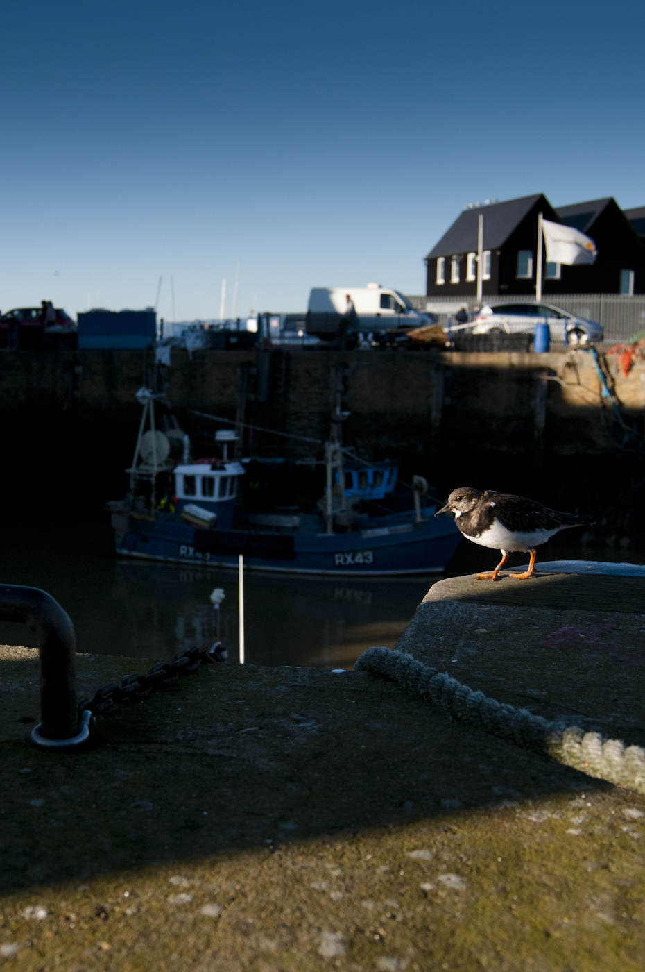 © Wex Photo Video ironments-offer-great-chance-to-get-up-close-with-wildlife-these-Turnstones-were-happy-to-allow-me-very-close-with-a-wide-angle-in-order-to-create-some-images.jpg