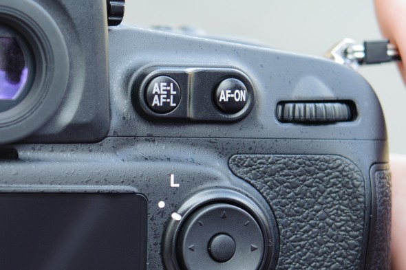 You can activate autofocus with your camera’s AF-On control, rather than the shutter-release button.
You can activate autofocus with your camera’s AF-On control, rather than the shutter-release button.