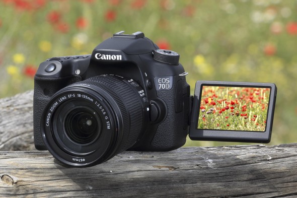 You can use autofocus during Live View
You can use autofocus during Live View