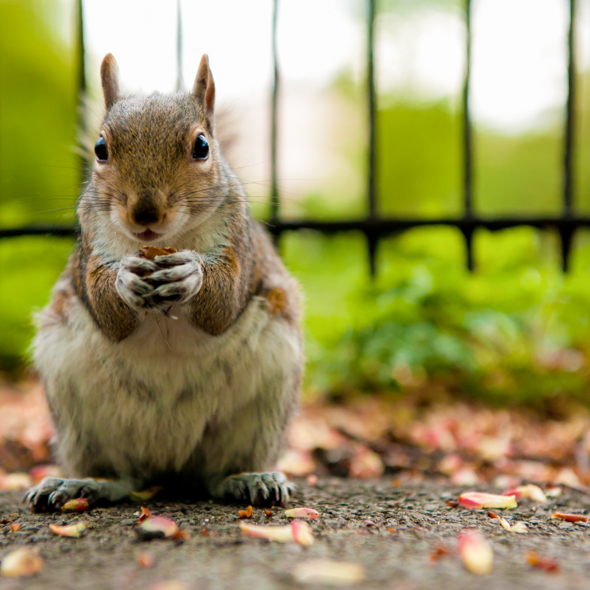 Five quick ways to inject new life into your photography Five quick ways to inject new life into your photography