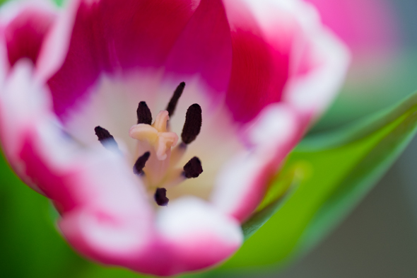 Five quick ways to inject new life into your photography Five quick ways to inject new life into your photography