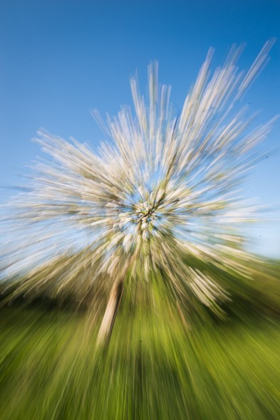 Six Creative Uses for a Telephoto Lens Six Creative Uses for a Telephoto Lens