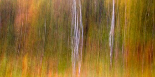 A Guide To Intentional Camera Movement Photography A Guide To Intentional Camera Movement Photography