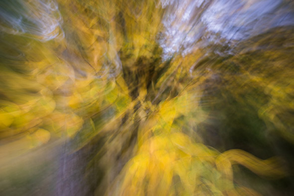 A Guide To Intentional Camera Movement Photography A Guide To Intentional Camera Movement Photography
