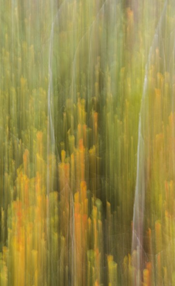 A Guide To Intentional Camera Movement Photography A Guide To Intentional Camera Movement Photography