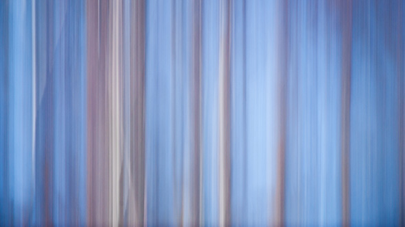 A Guide To Intentional Camera Movement Photography A Guide To Intentional Camera Movement Photography