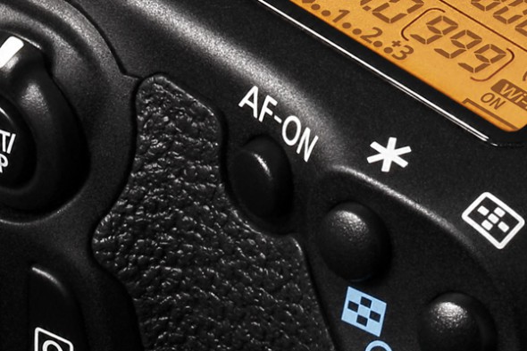 50 great wildlife photography tips 50 great wildlife photography tips