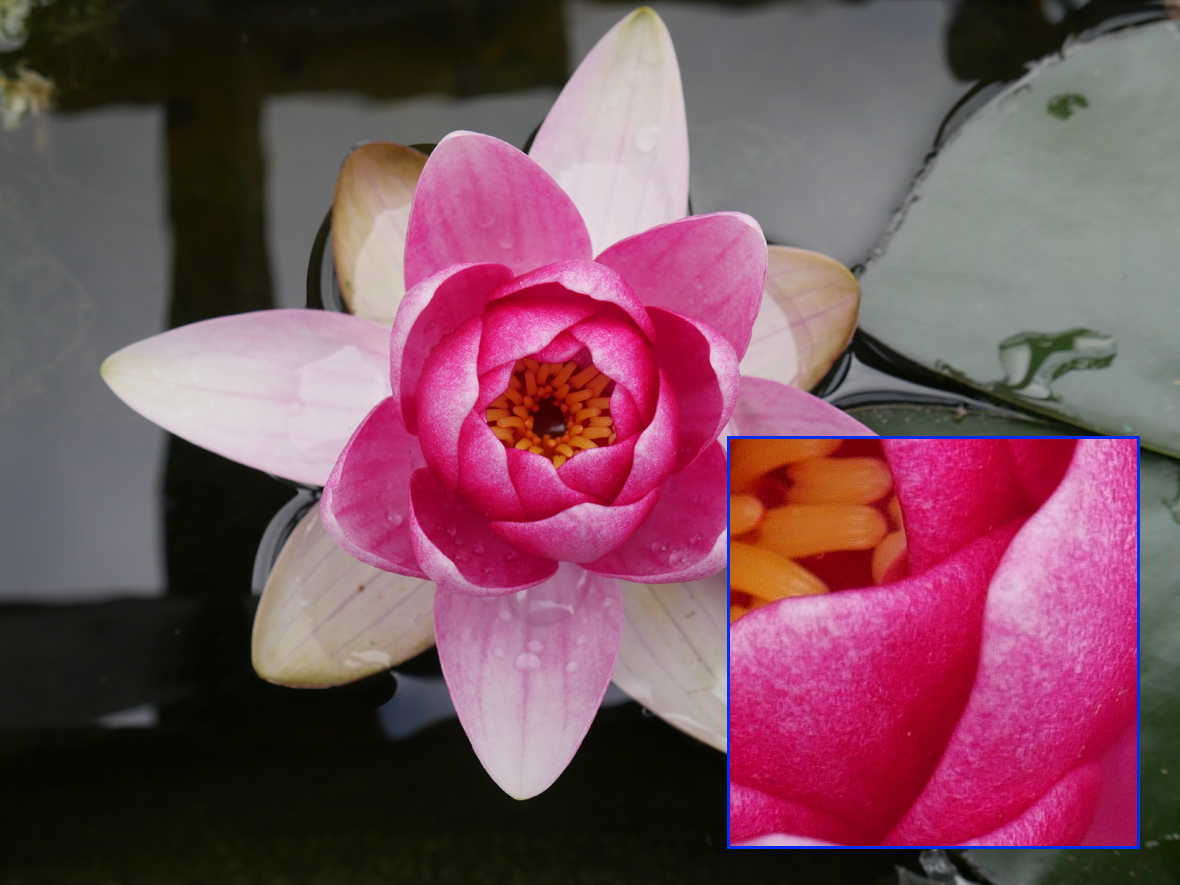 Panasonic Lumix DMC-GX8 - sample images