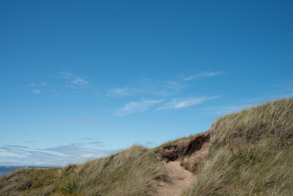 How Polarising Filters Can Transform Your Photography How Polarising Filters Can Transform Your Photography
