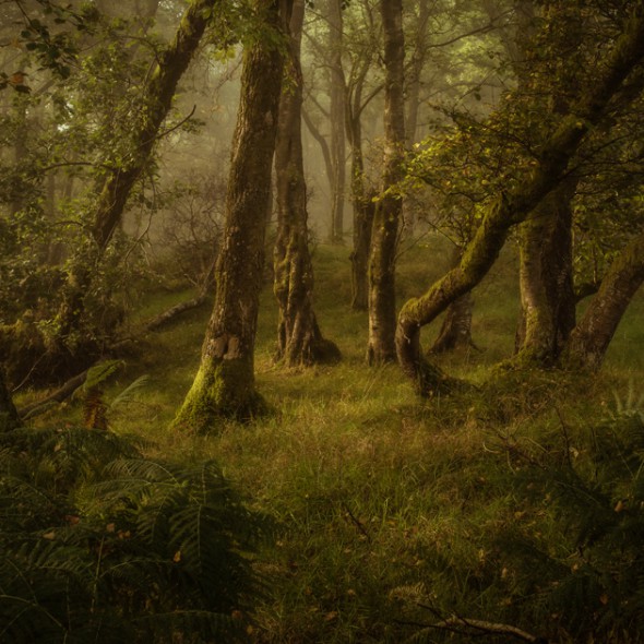 Why is Landscape Photography Often So Boring and Predictable? Why is Landscape Photography Often So Boring and Predictable?