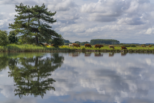 Sony E-Mount Zeiss Batis Lenses Review Sony E-Mount Zeiss Batis Lenses Review