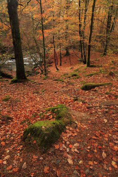 Photographer’s Guide to the Lake District this Autumn Photographer’s Guide to the Lake District this Autumn