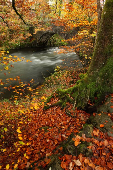 Photographer’s Guide to the Lake District this Autumn Photographer’s Guide to the Lake District this Autumn