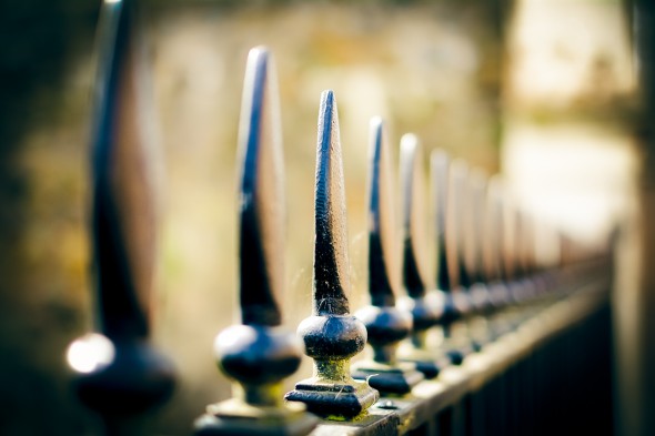Life at 50mm: The most versatile focal length Life at 50mm: The most versatile focal length