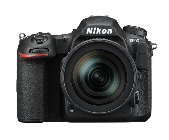 How to Understand a Camera’s Autofocus System
How to Understand a Camera’s Autofocus System