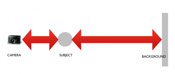 Life at 50mm: The most versatile focal length Life at 50mm: The most versatile focal length