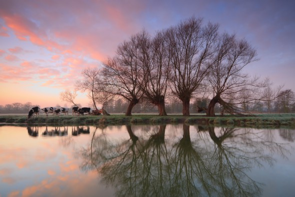 Shooting Landscapes for a Living: Justin Minns Shooting Landscapes for a Living: Justin Minns