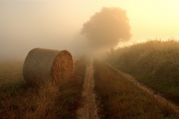 Shooting Landscapes for a Living: Justin Minns Shooting Landscapes for a Living: Justin Minns