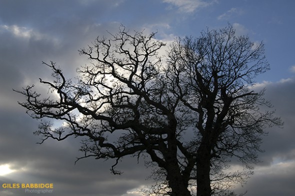 How to Create Silhouettes How to Create Silhouettes
