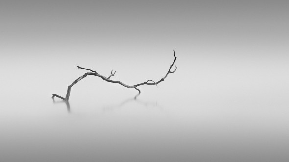 Making Minimalist Landscapes Making Minimalist Landscapes