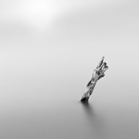 Making Minimalist Landscapes Making Minimalist Landscapes