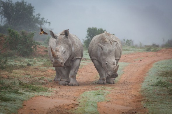 A Winter Escape – A Photographic Guide to South Africa A Winter Escape – A Photographic Guide to South Africa