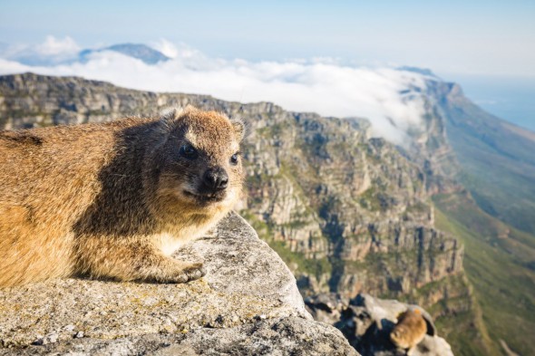 A Winter Escape – A Photographic Guide to South Africa A Winter Escape – A Photographic Guide to South Africa