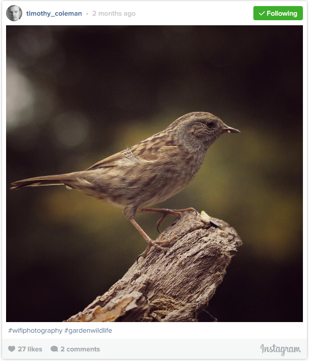 How Wi-Fi can Transform your Wildlife Photography How Wi-Fi can Transform your Wildlife Photography