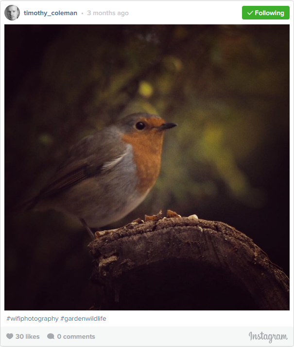 How Wi-Fi can Transform your Wildlife Photography How Wi-Fi can Transform your Wildlife Photography