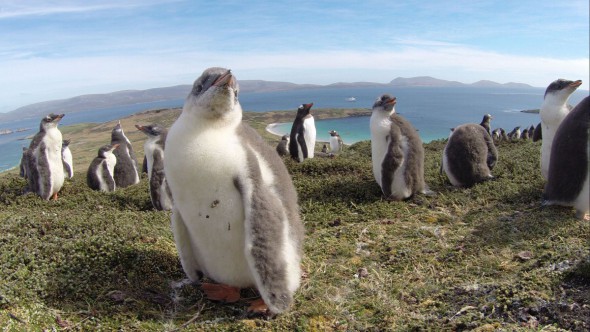 Why Every Camera Bag Needs a GoPro Why Every Camera Bag Needs a GoPro
