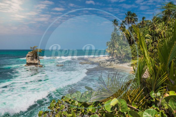Perspective: Stop Watermarking Your Photos Perspective: Stop Watermarking Your Photos