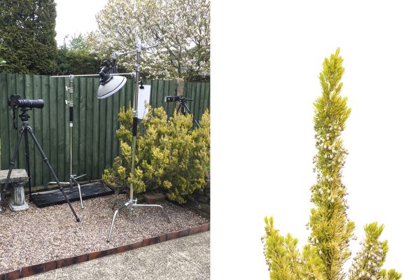 How to Build a Field Macro Studio How to Build a Field Macro Studio