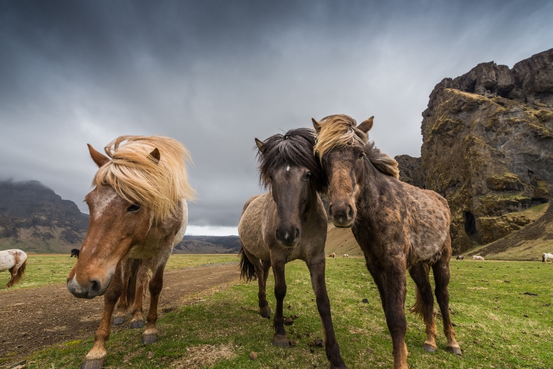 Shooting Landscapes with an Ultra-Wide Lens Shooting Landscapes with an Ultra-Wide Lens