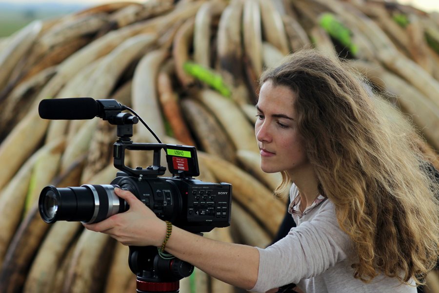 Behind the Shoot: “A Lion’s Tale” – Wildlife Documentary Behind the Shoot: “A Lion’s Tale” – Wildlife Documentary