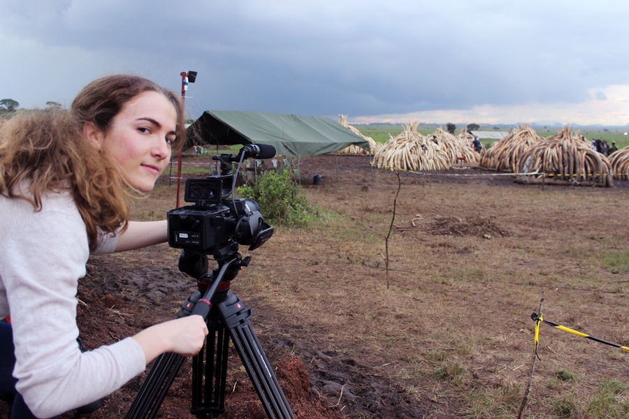Behind the Shoot: “A Lion’s Tale” – Wildlife Documentary Behind the Shoot: “A Lion’s Tale” – Wildlife Documentary