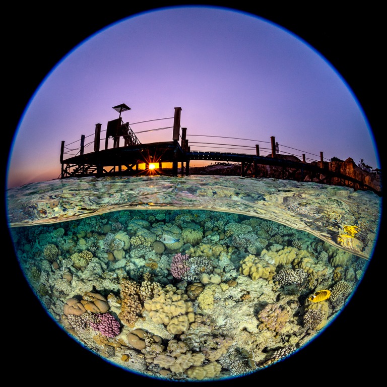 Shooting Underwater with the Nikon 8-15mm FX Fisheye Shooting Underwater with the Nikon 8-15mm FX Fisheye