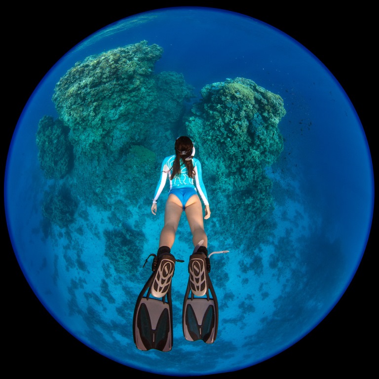 Shooting Underwater with the Nikon 8-15mm FX Fisheye Shooting Underwater with the Nikon 8-15mm FX Fisheye