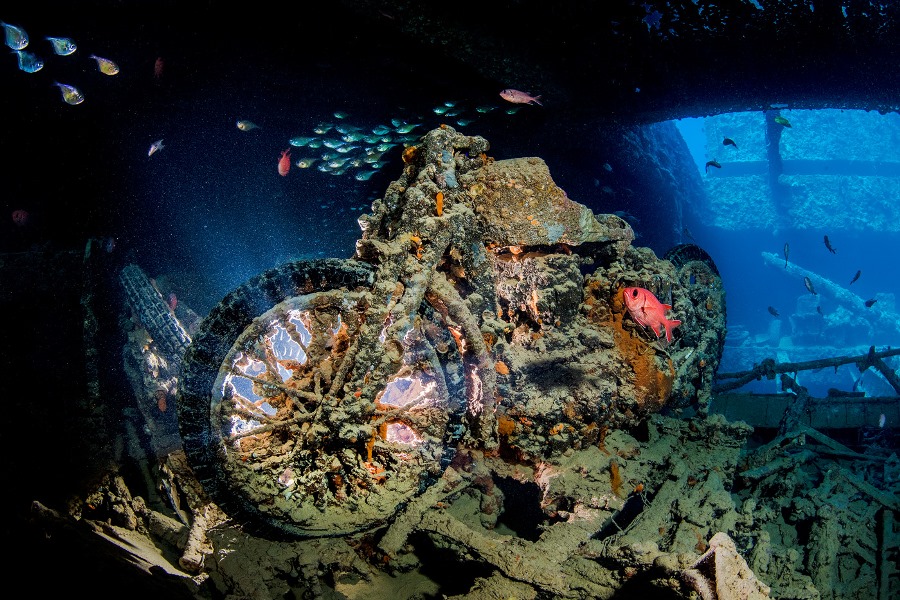 Shooting Underwater with the Nikon 8-15mm FX Fisheye Shooting Underwater with the Nikon 8-15mm FX Fisheye