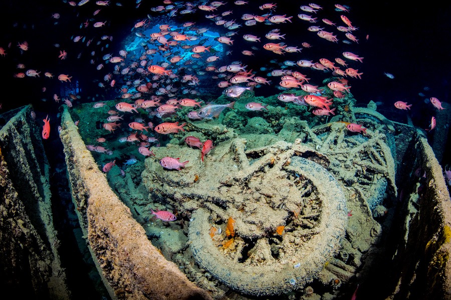 Shooting Underwater with the Nikon 8-15mm FX Fisheye Shooting Underwater with the Nikon 8-15mm FX Fisheye